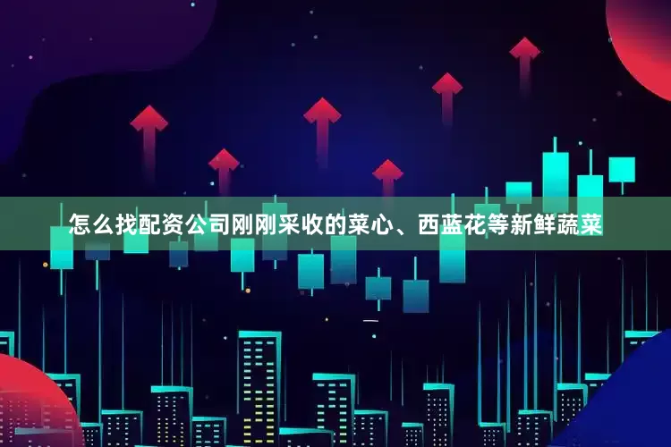 怎么找配资公司刚刚采收的菜心、西蓝花等新鲜蔬菜