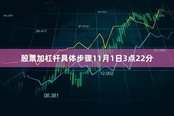 股票加杠杆具体步骤11月1日3点22分